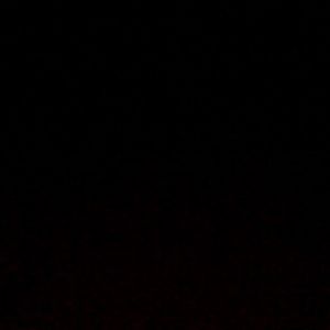 Meet your Posher, Bruce